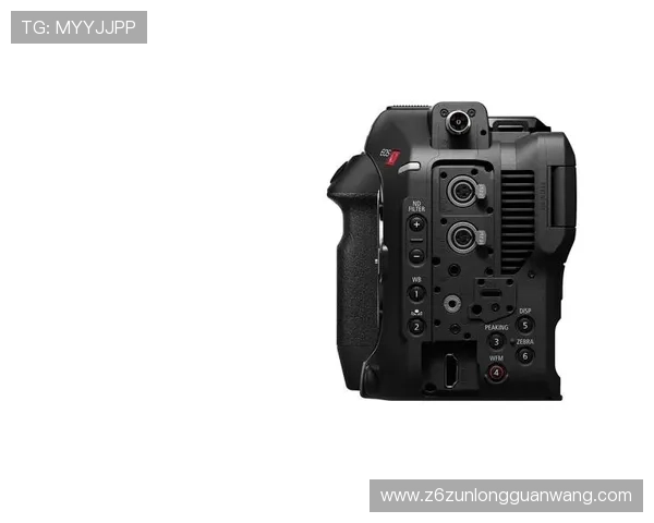 尊龙凯时z6安全登录入口确保玩家账号信息安全与顺畅体验的详细指南 尊龙凯时z6安全登录入口确保玩家账号信息安全与顺畅体验的详细指南