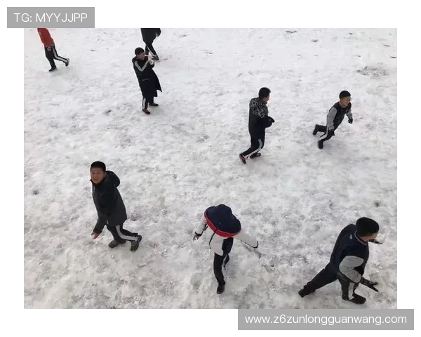 如何安全快速下载Z5体育应用,确保你的体育娱乐体验无忧无虑 如何安全快速下载Z5体育应用,确保你的体育娱乐体验无忧无虑